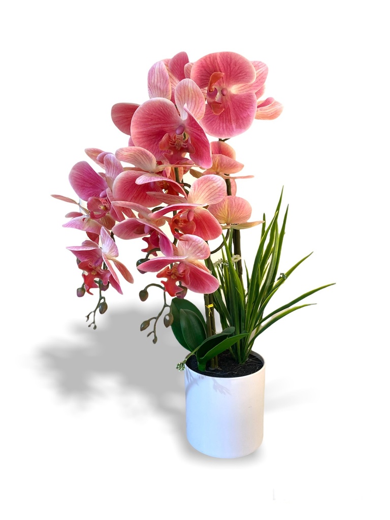 [Z0010100657] LAILA ARTIFICIAL ORCHID
