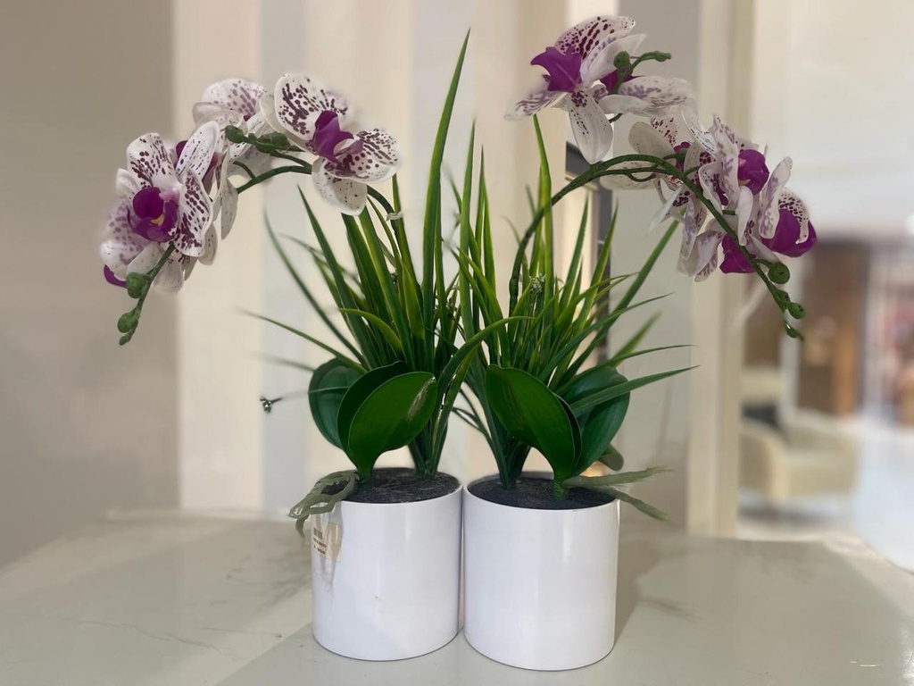 [Z0010100660] CLEO ARTIFICIAL ORCHID