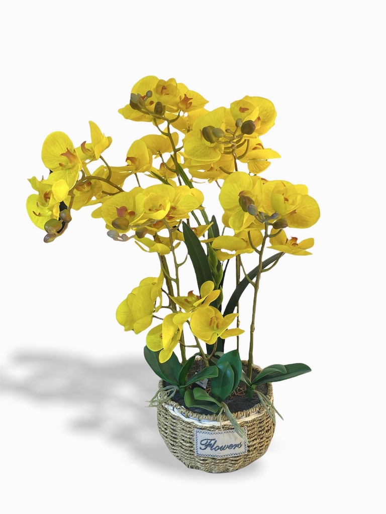 [Z0010100663] FLORATA ARTIFICIAL ORCHID