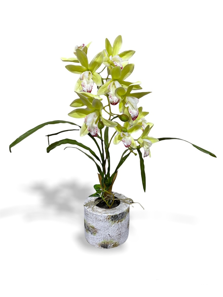 [Z0010100630] PARISI ARTIFICIAL ORCHID
