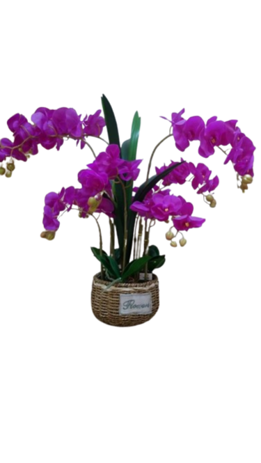 [Z0010100633] BONNIE ARTIFICIAL ORCHID