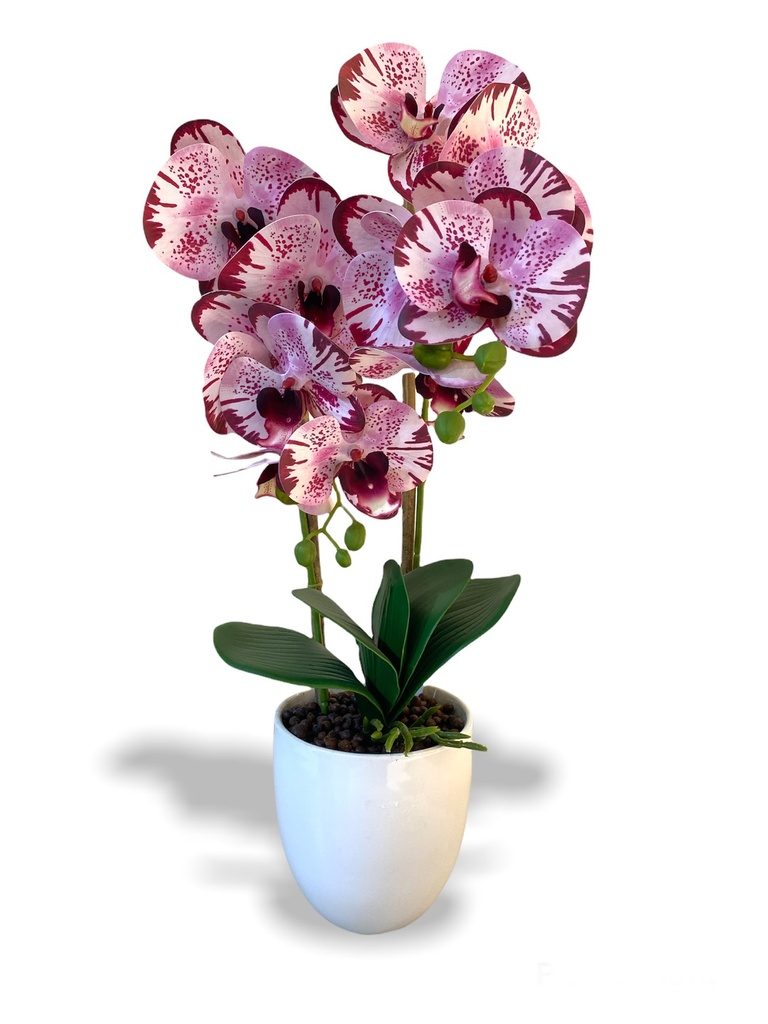 [Z0010100689] KRISKA ARTIFICIAL ORCHID