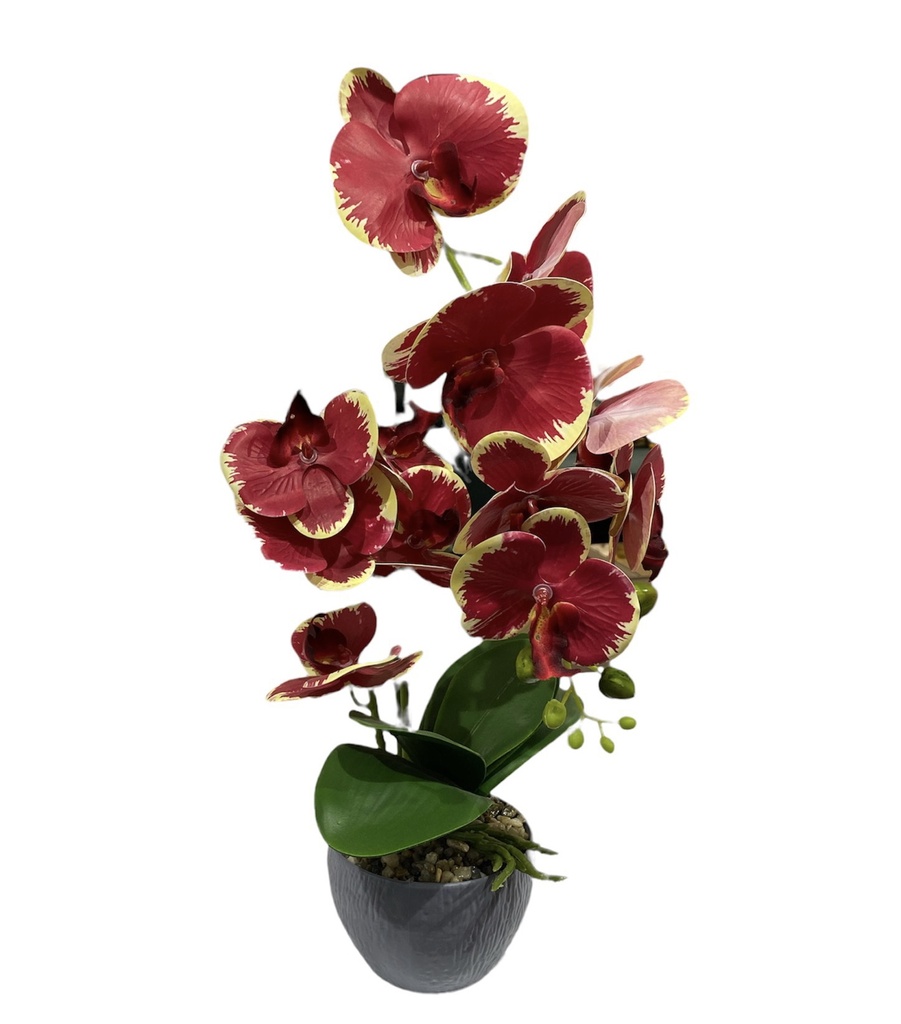 [Z0010100688] EKOS ARTIFICIAL ORCHID
