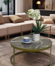 [D0250300081] CHLOE COFFEE TABLE